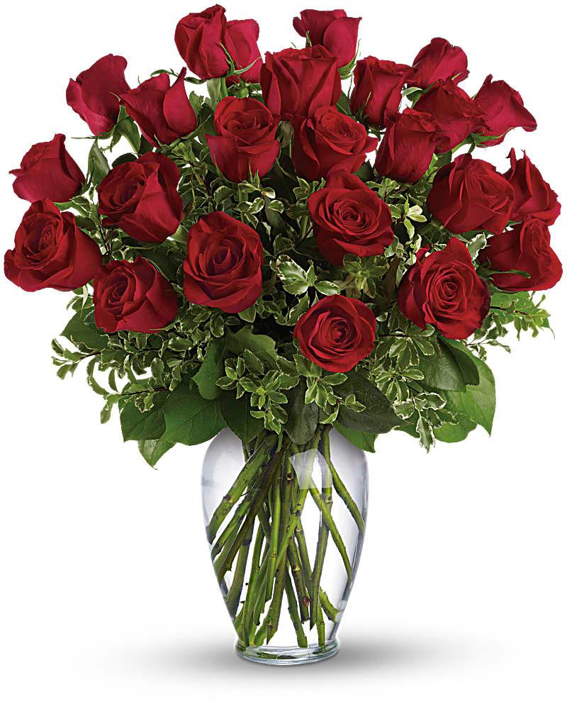 Two Dozen Red Roses Two Dozen Red Roses
